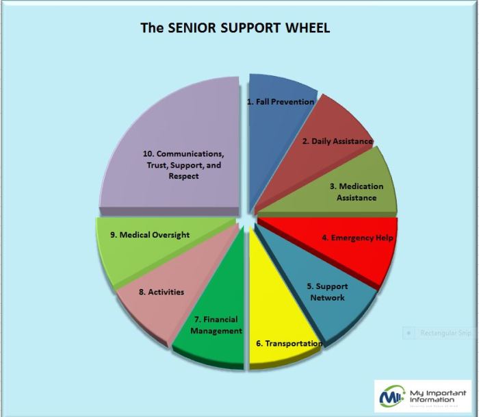 Senior Support Wheel